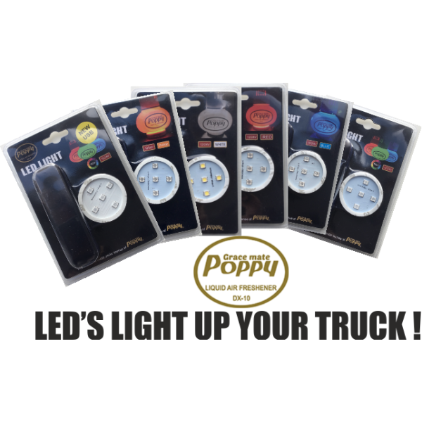Poppy Grace Mate ® ledverlichting RGB - USB C - Poppy Grace Mate ® Led verlichting - De Cargo winkel