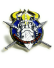 Pin Viking Style rond